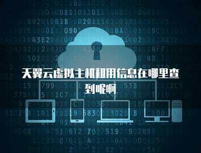 虚拟主机租用中的密码输入与安全保障